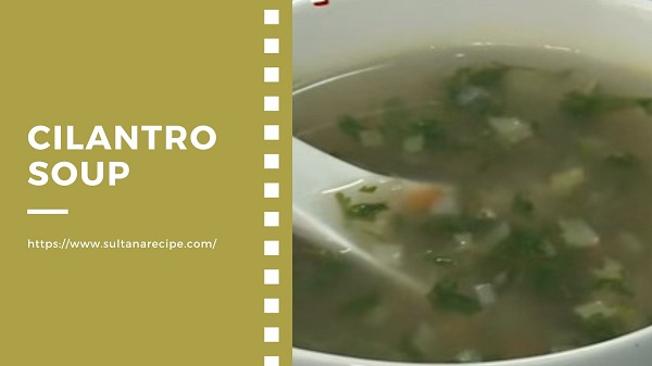 Cilantro Soup Recipes