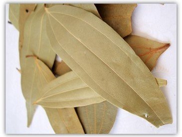 Bay Leaves