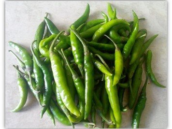 Green Chilli