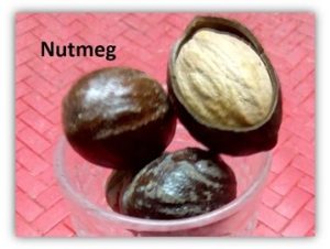 Nutmeg