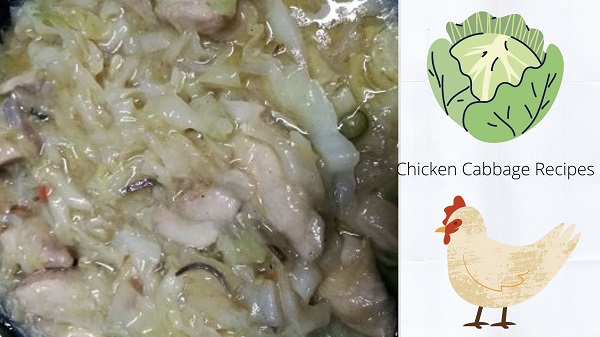 Chicken Cabbage Recipes Very Healthy and Delicious Menu