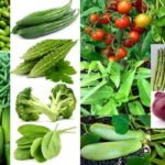 Good vegetables for diabetes