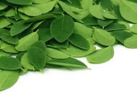 Moringa recipe