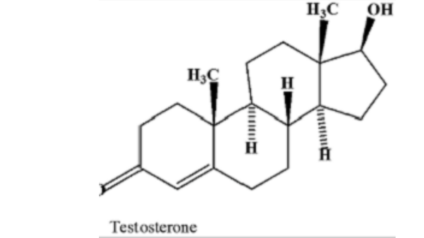 How-to-increase-testosterone