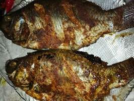 Hot to grill tilapia in oven