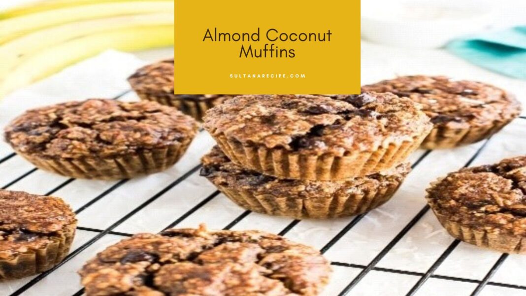 5 Best Easy Paleo Breakfast Recipes for Healthy Life - Sultana's recipe