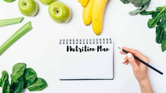 What is nutrition plan 