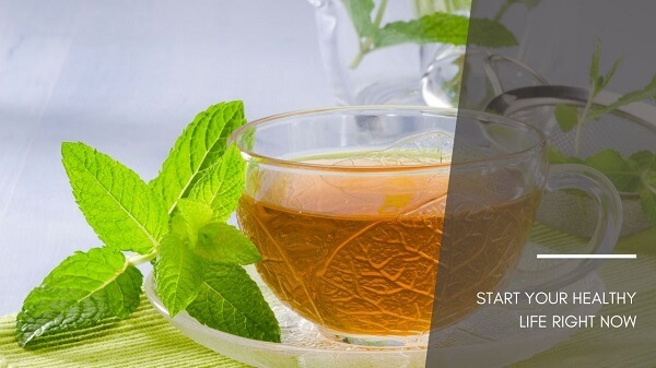 Mint Herbal Tea